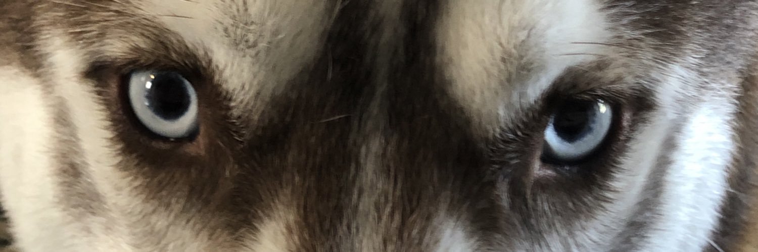 KyleVandell's profile banner image