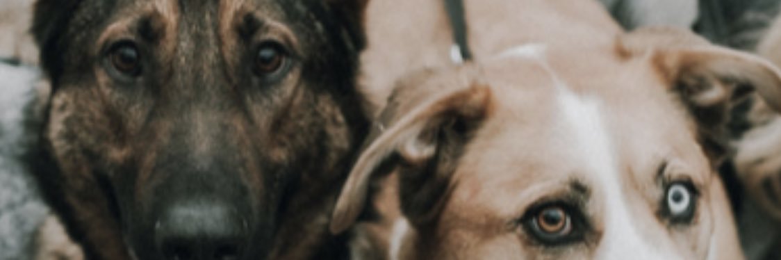 c_peter71's profile banner image