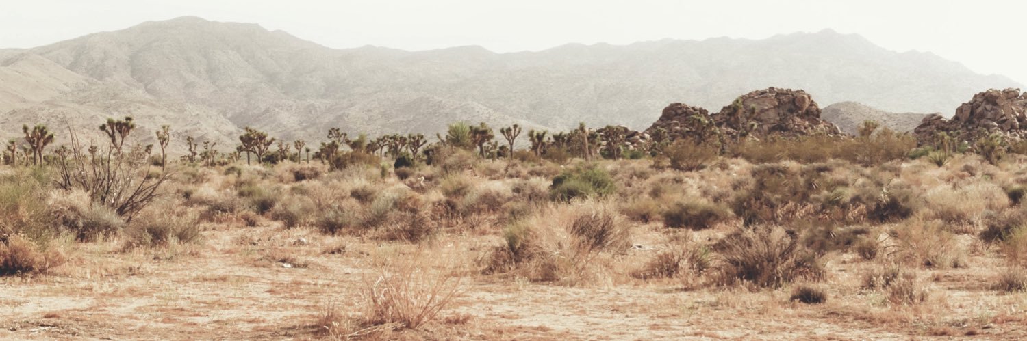_callmecourtney's profile banner image