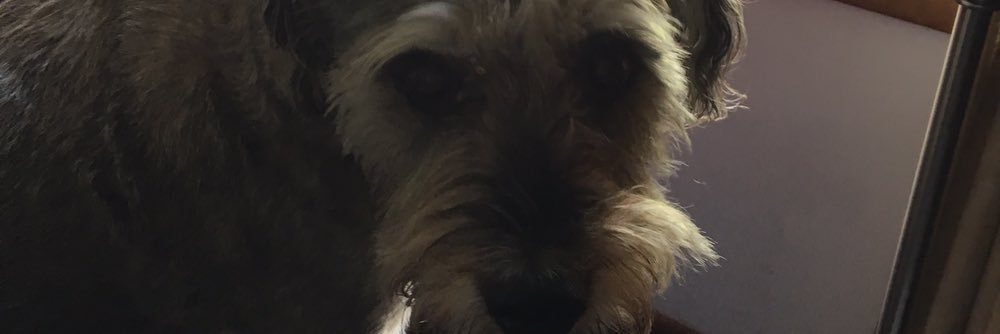 Matthewdibble2's profile banner image