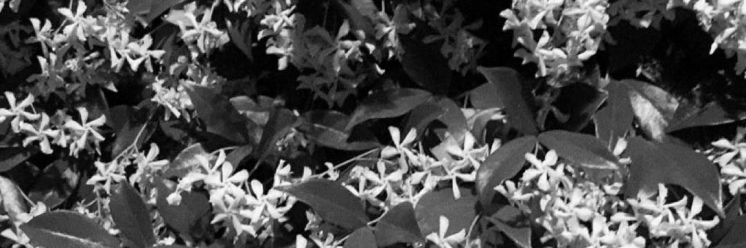 directionftsos's profile banner image