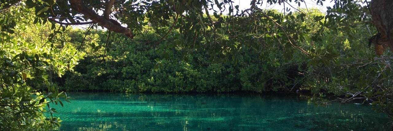 Divers UnderGround banner