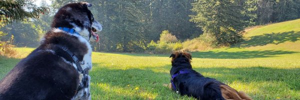 ajmcgucken Profile Banner