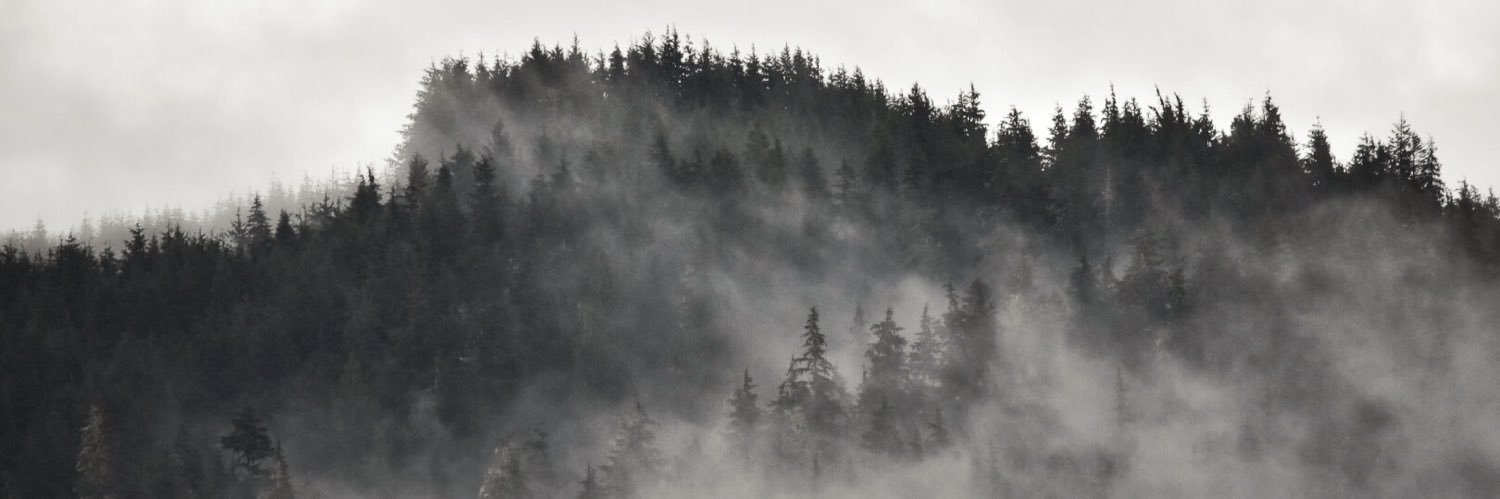 this_kid_coon's profile banner image