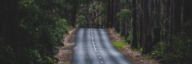 PhotographyJay1's profile banner image