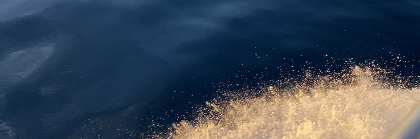 gin banner