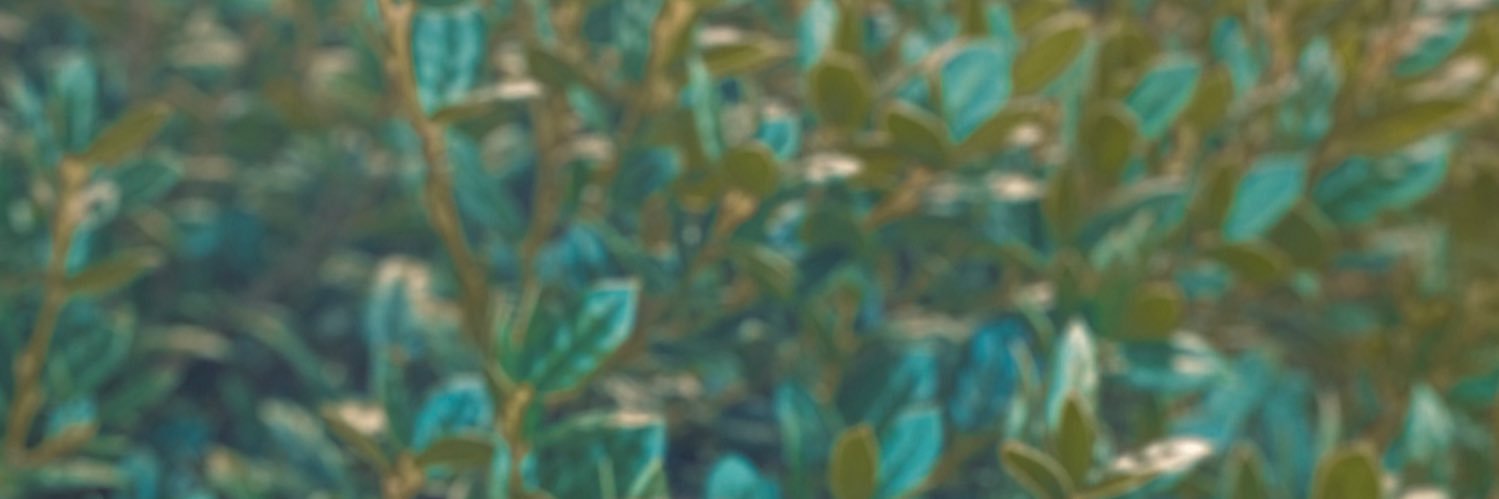 jorrich91's profile banner image
