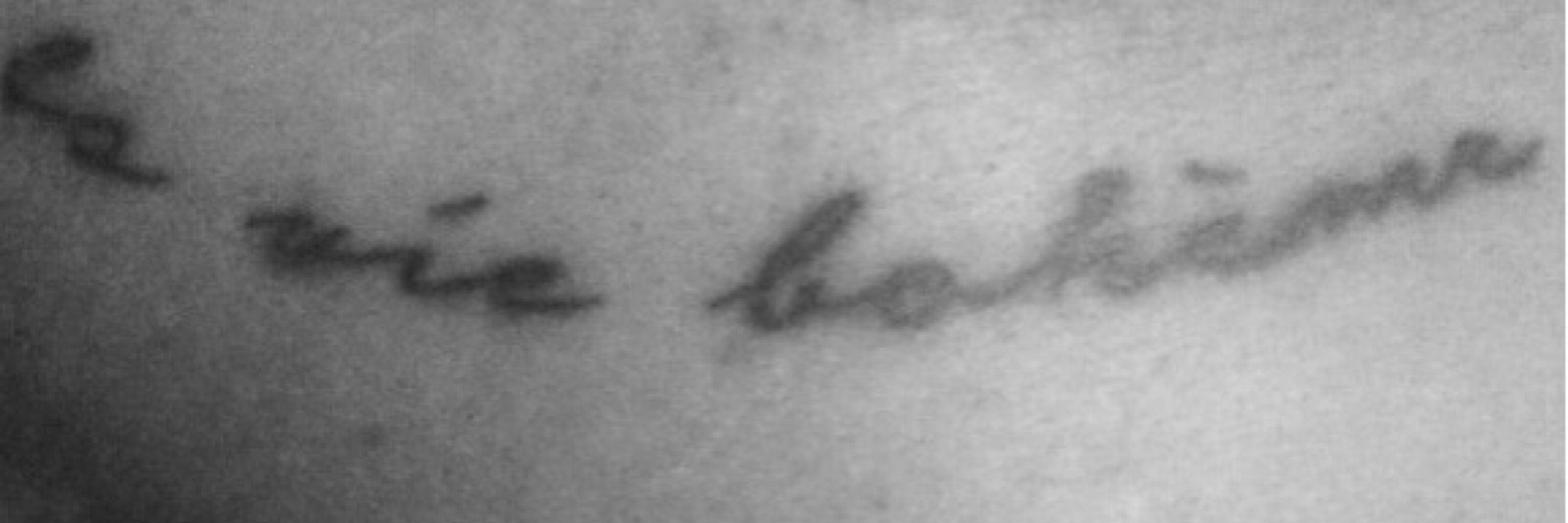 la vie boheme banner