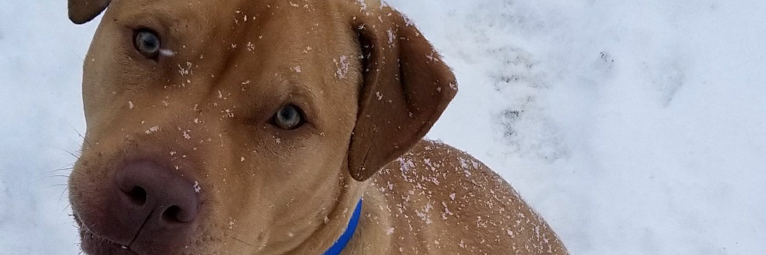 SlimShadle35's profile banner image