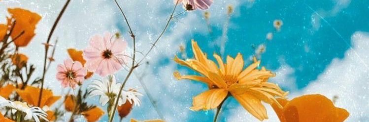 AidilBelindaa's profile banner image