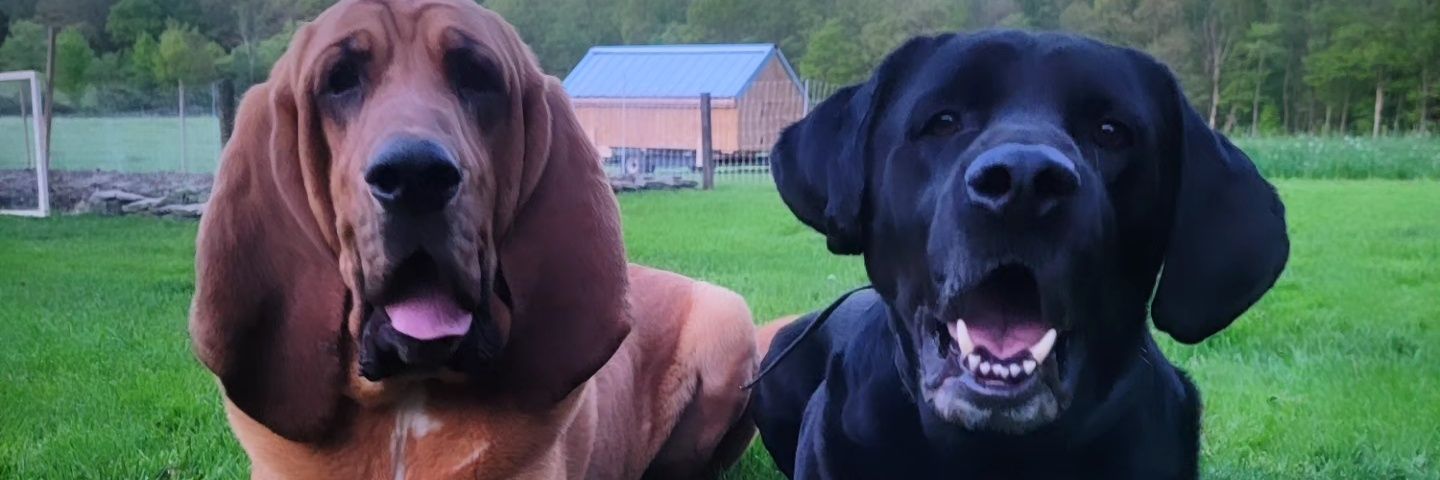 brookers_2's profile banner image