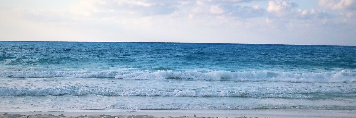softcherrywine's profile banner image