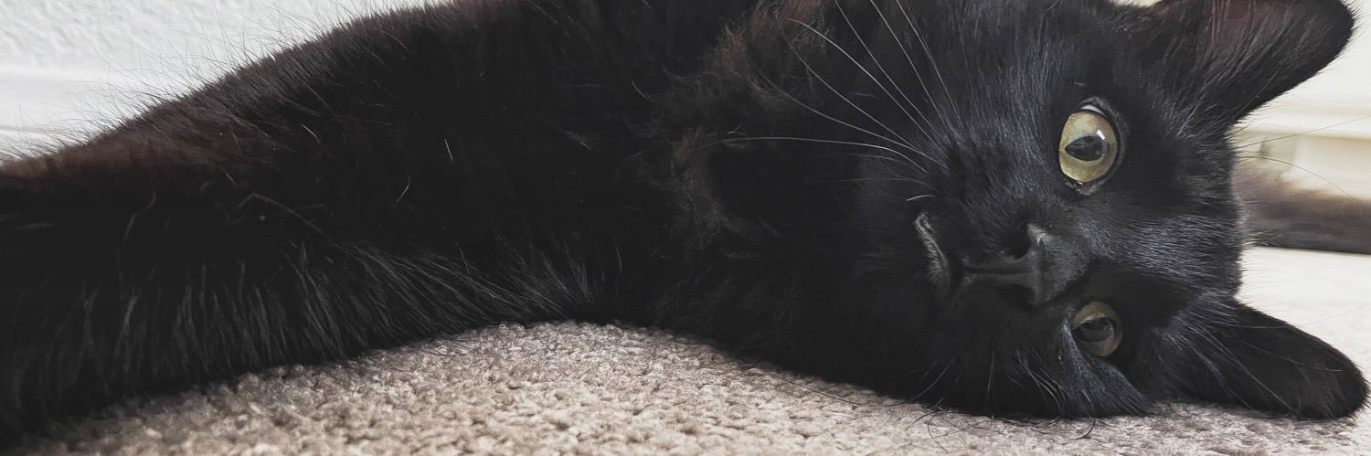 maddymangoo's profile banner image