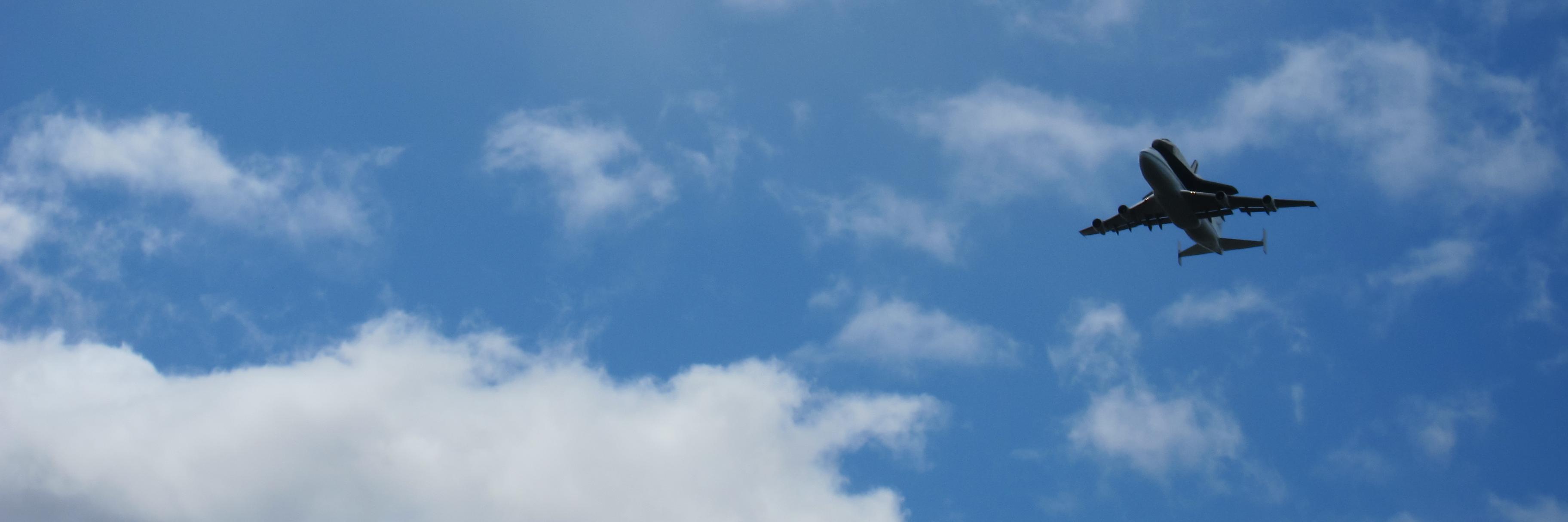 gamorgana's profile banner image