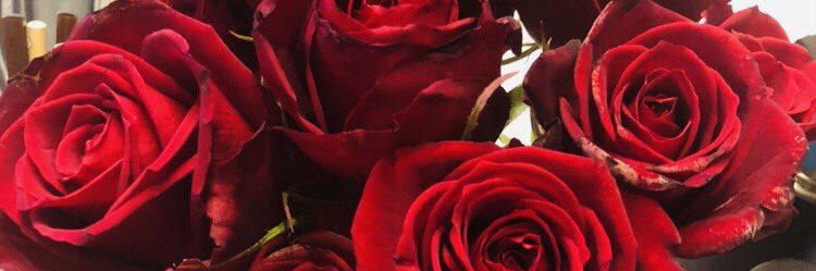 とっとこ社畜のまむ太郎 banner