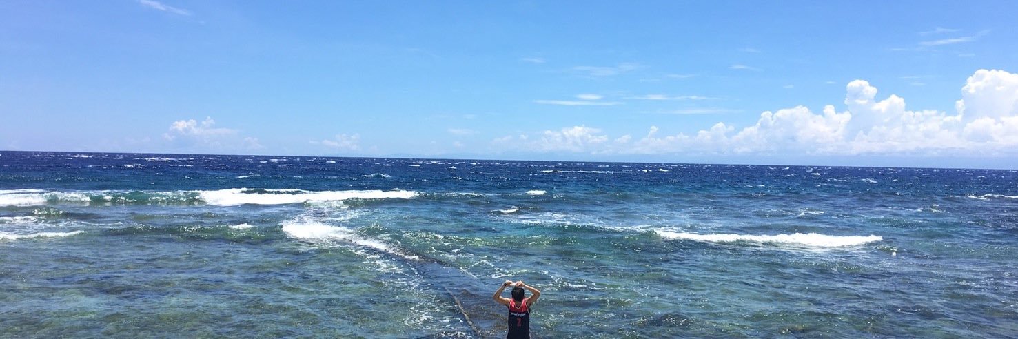 gogoluo_'s profile banner image