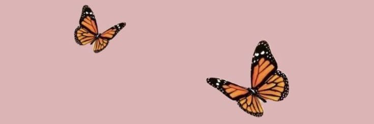 amcraw132's profile banner image