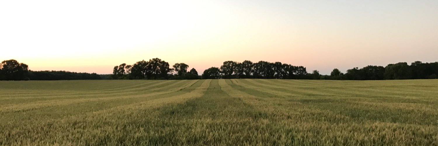 cole12crews's profile banner image