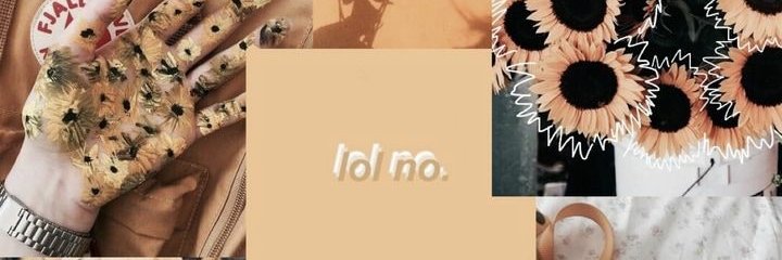 Liza Asterina banner