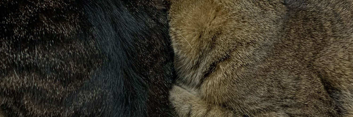 mu_cha58's profile banner image