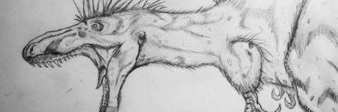 JoshJipson's profile banner image