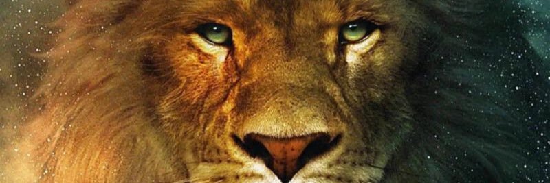 JuliEnciso94's profile banner image