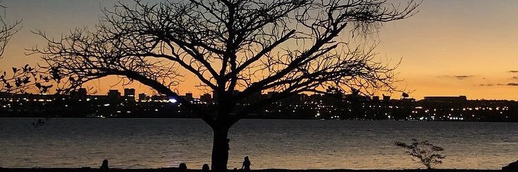 rafaelraw's profile banner image