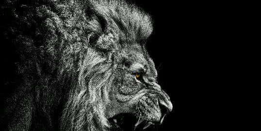 _Vonbrown's profile banner image