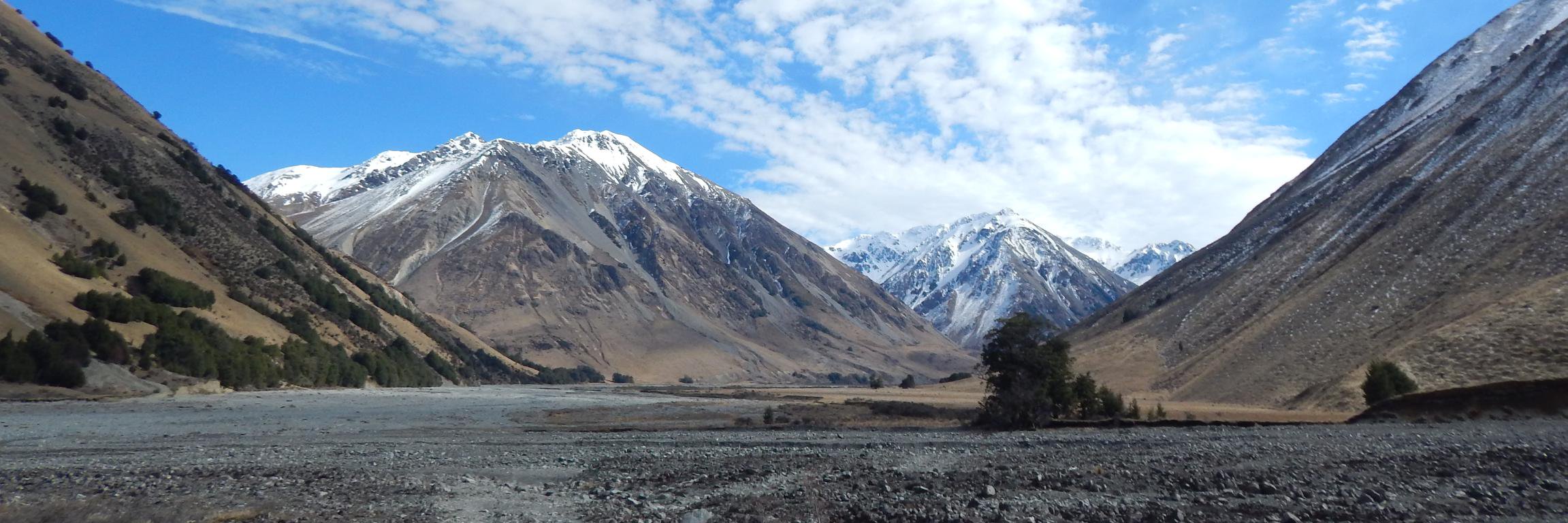 Kevin Daniel Chase banner