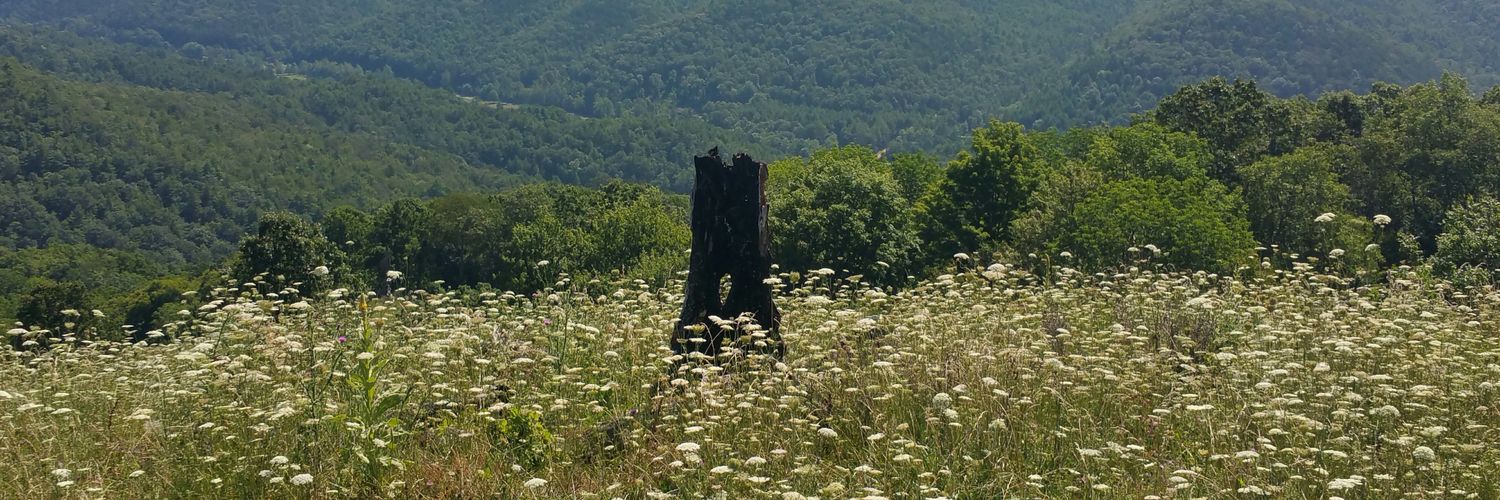 Dread_LUCK's profile banner image