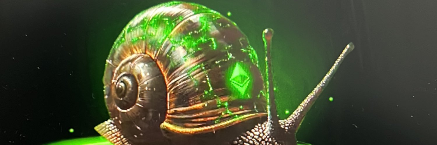 dtumas “SNAIL” banner