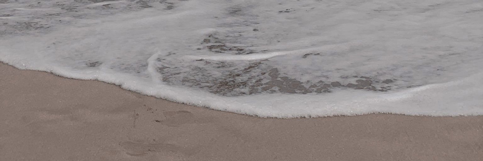 trixCmia's profile banner image