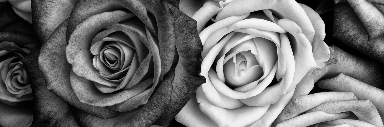 mizzquintero's profile banner image