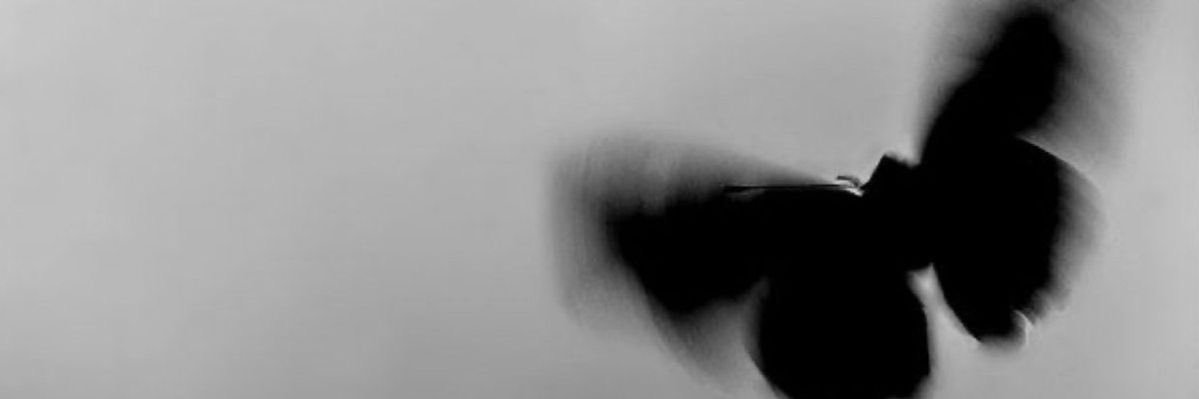 dalanie_'s profile banner image