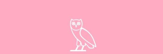 bvborders's profile banner image