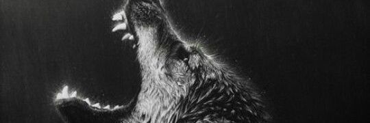 akaErad's profile banner image