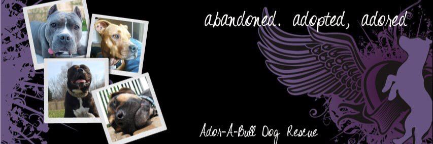 AdorABulls's profile banner image