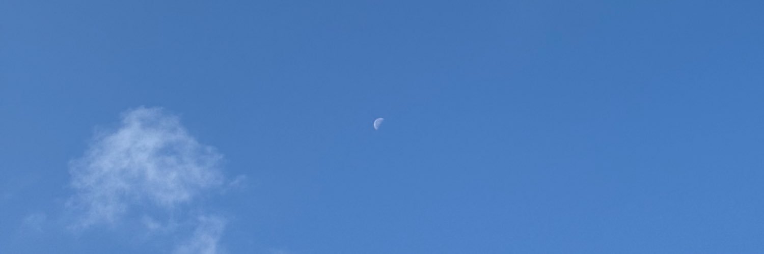 🎄โพลี่ ทาสพ่อแมวตาปิด🐈‍⬛ banner