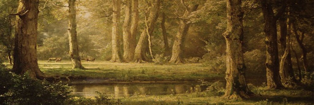 o_a_1_1's profile banner image