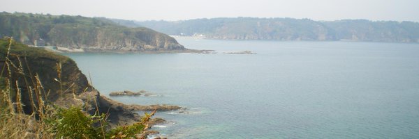 catsofcottage Profile Banner