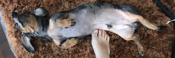 2Yawa Profile Banner