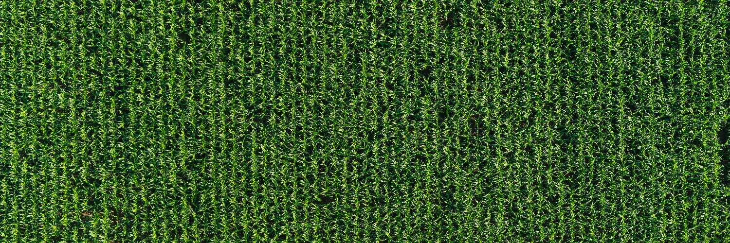 Seeds_Canada's profile banner image