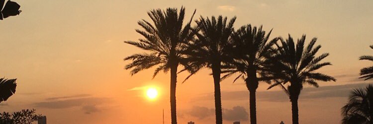 bree_ena's profile banner image