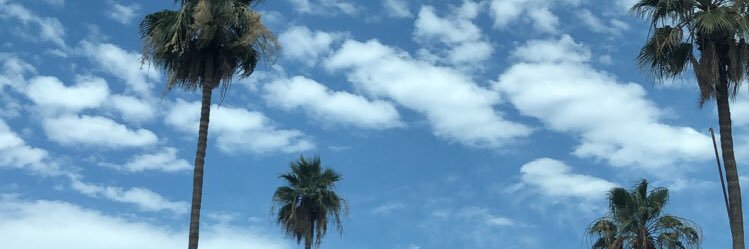 bbycakes 🍰 banner