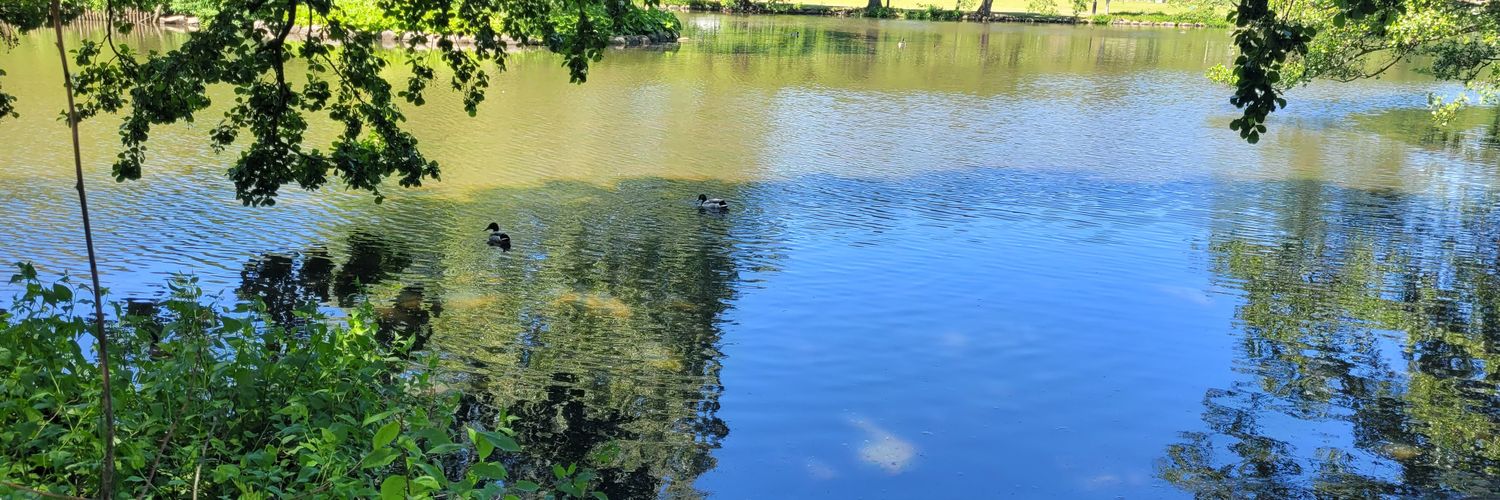 Tomas Midander banner