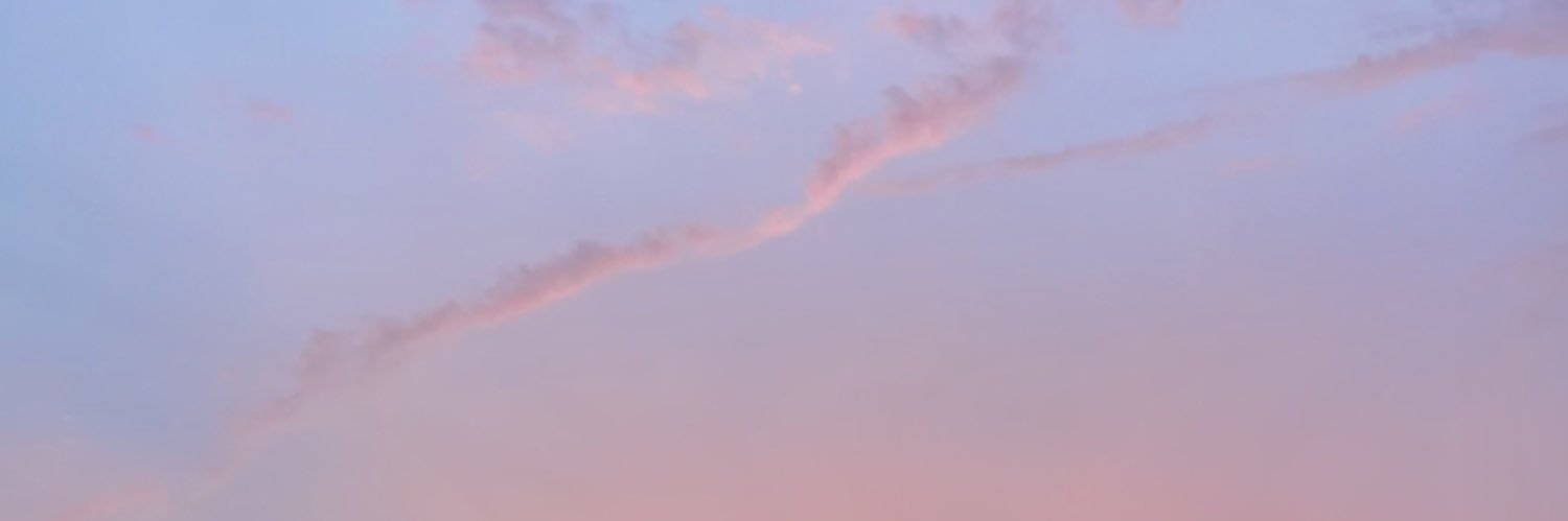 jaymerayne's profile banner image