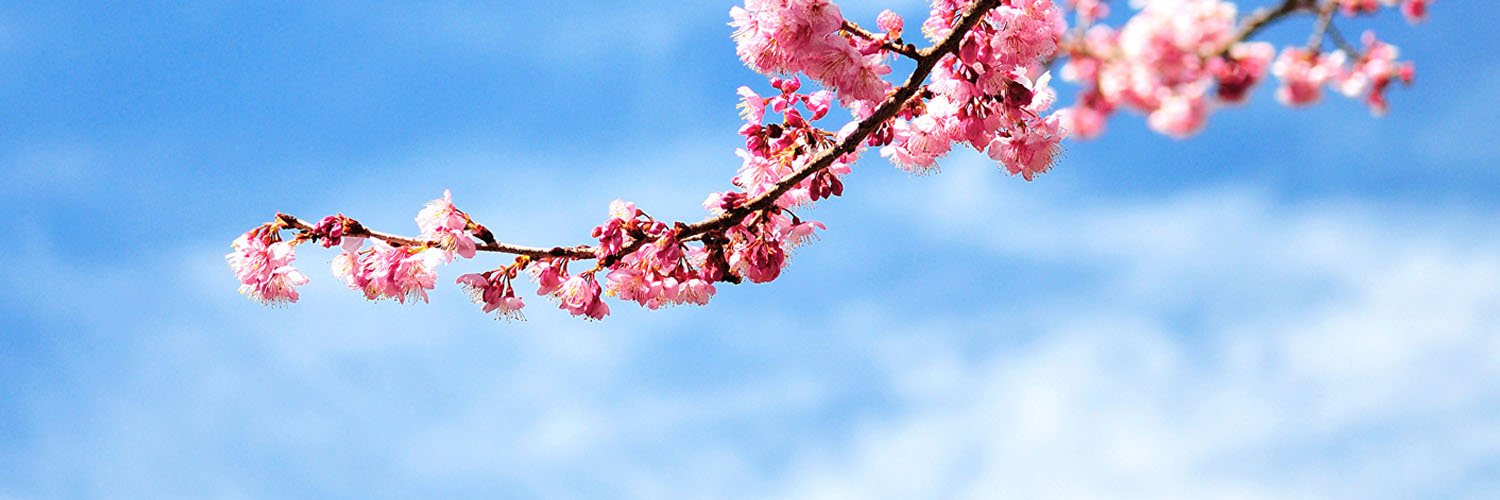 _CCarmenMS's profile banner image