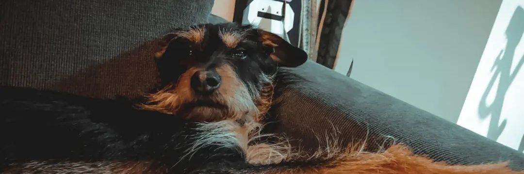 LukeTorres_'s profile banner image
