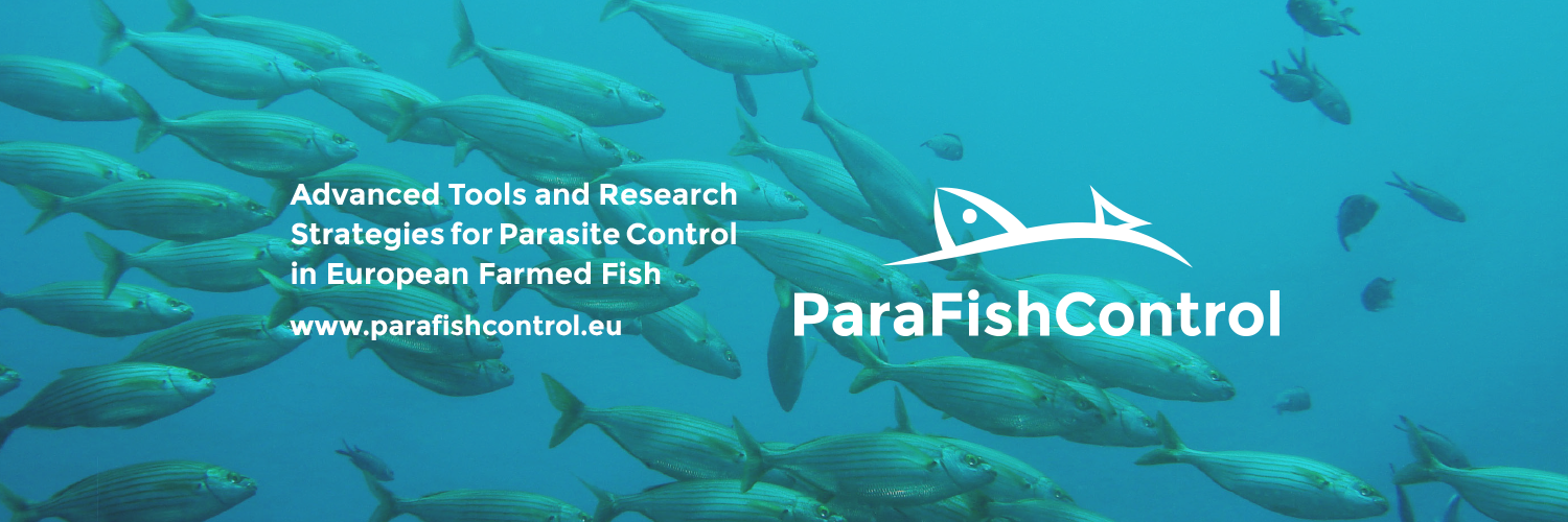 parafishcontrol's profile banner image