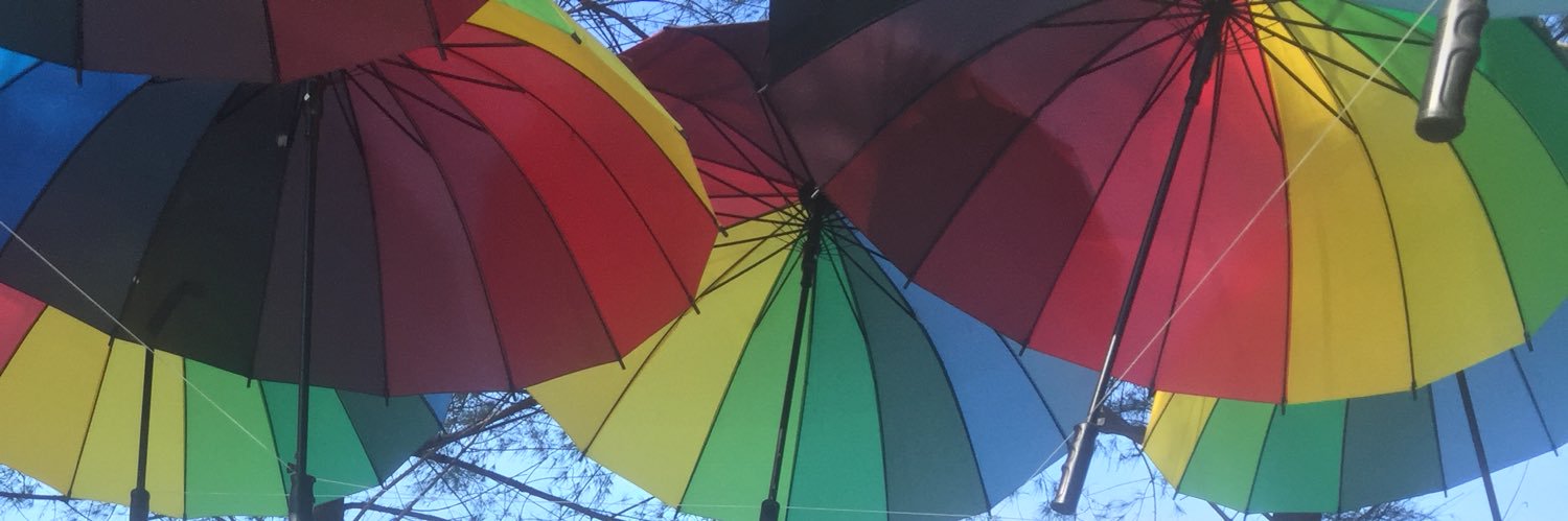 diera_'s profile banner image